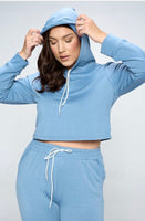 Plus Size 2 Piece Cropped Hoodie and Jogger Set